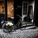 Albert Hofmann - Bicycle Day