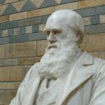 Darwin-Tag