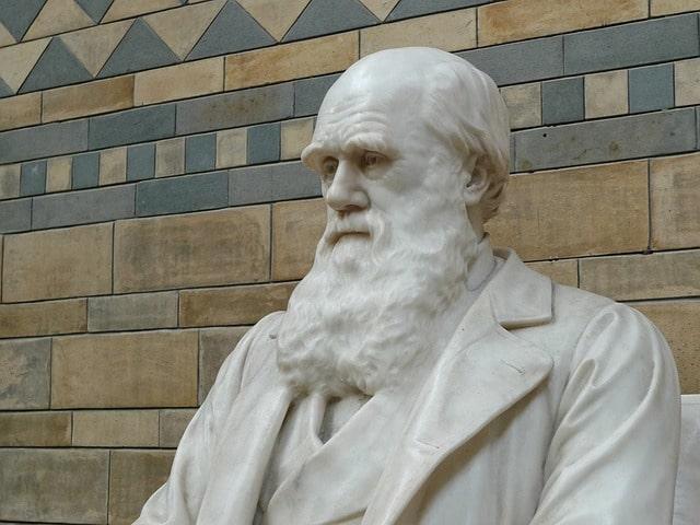 Darwin-Tag