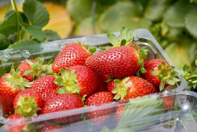 Pflücke-Erdbeeren-Tag