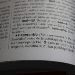 Esperantobuch-Tag