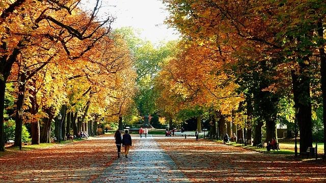 Herbstspaziergang-Tag