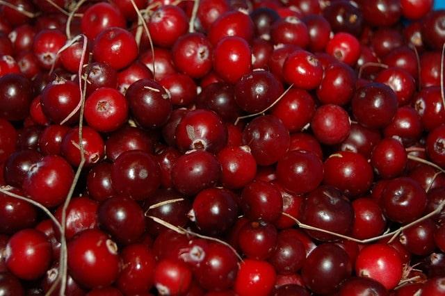 Iss-eine-Cranberry-Tag