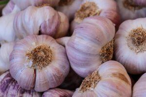 Knoblauch-Tag