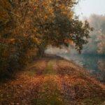Der Lauf-um-Dinge-herum-Tag