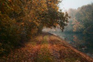 Der Lauf-um-Dinge-herum-Tag