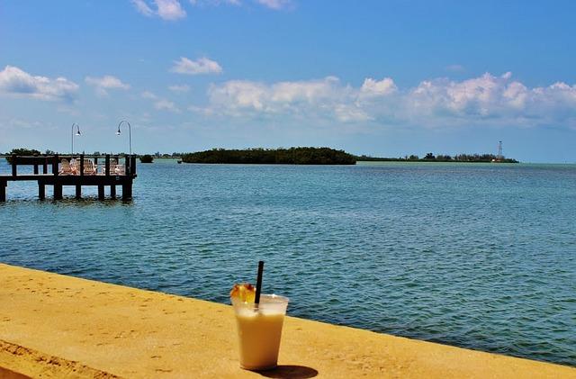 Tag der Piña Colada