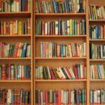 Putze-Dein-Bücherregal-Tag