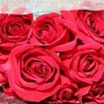 Rosentag als Auftakt der Valentins-Woche