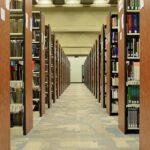 Selfie-in-der-Bibliothek-Tag