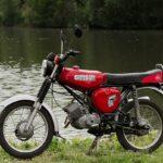 Simson-Tag in Deutschland