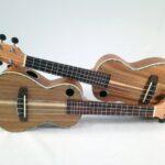 Spiel-Deine-Ukulele-Tag
