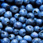 Tag der Blaubeeren
