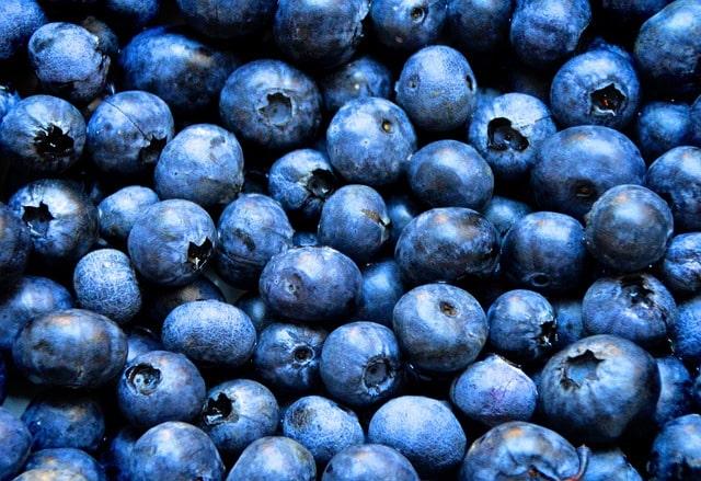 Tag der Blaubeeren