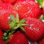 Tag der Erdbeere