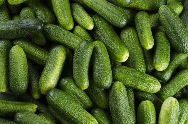 Tag der Gurke