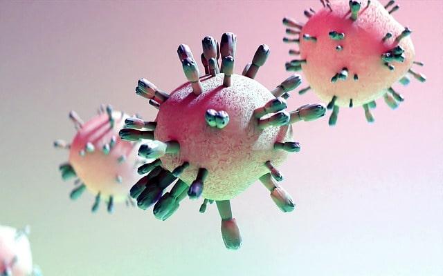 Tag der Immunologie