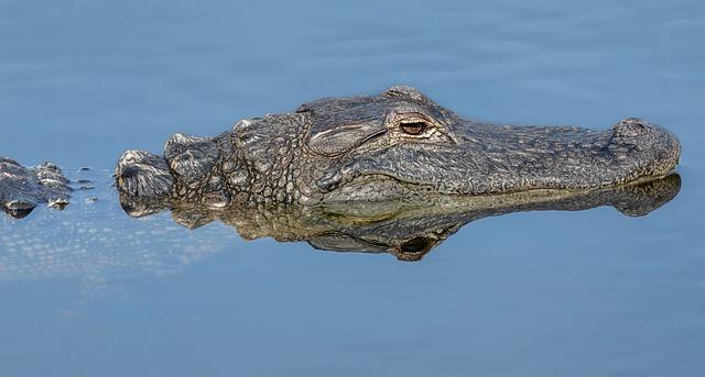 Tag der Krokodile