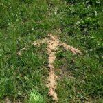Tag der Schnitzeljagd