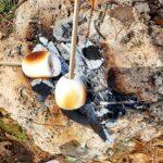 Tag der geröstete marshmallows
