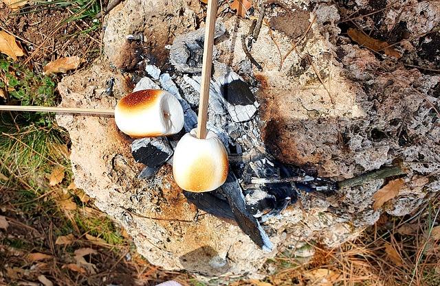 Tag der geröstete marshmallows