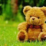 Tag des Teddybär-Picknicks