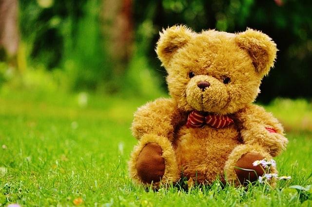 Tag des Teddybär-Picknicks