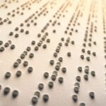 Welt-Braille-Tag