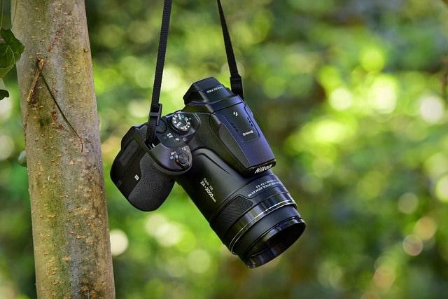 Welt-Foto-Tag