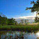 Welttag der Feuchtgebiete