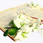 Welttag der Poesie