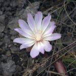 Welttag der Umweltbildung
