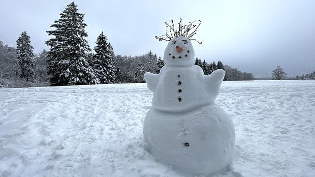 Welttag des Schneemanns