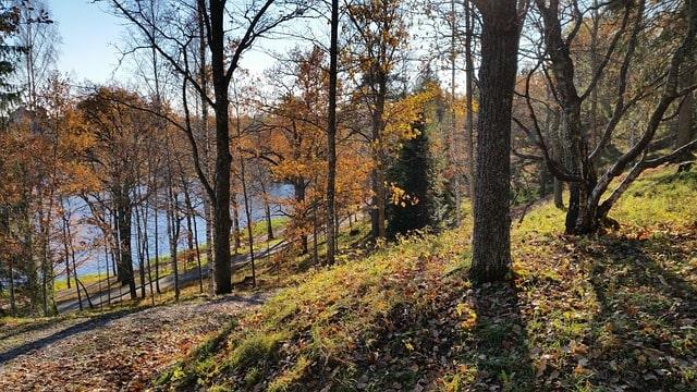 Wirf-könnte-und-sollte-weg-Tag