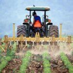 Bauerntag, Bodenbearbeitung mittels Traktor