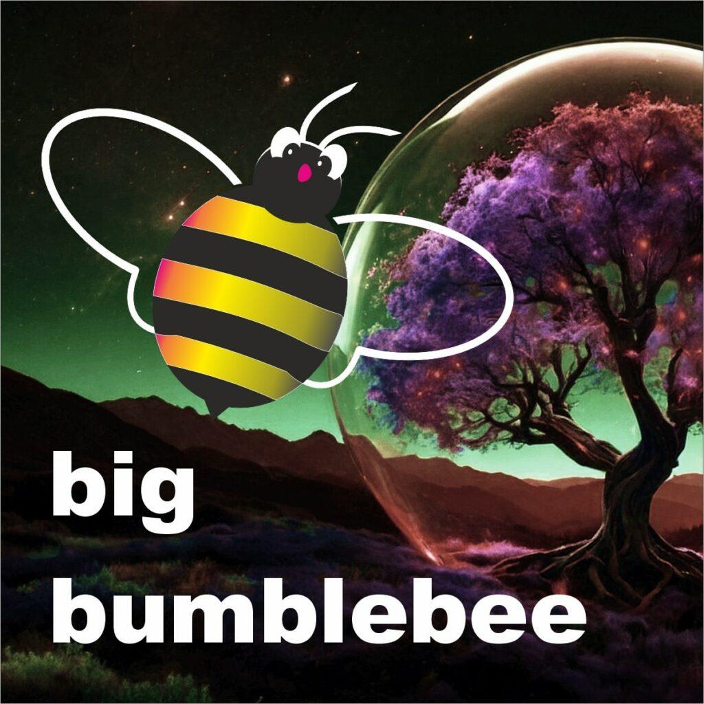 DE: Dienstleistungspaket Website "big bumblebee".
PT: Pacote de serviços Website "big bumblebee".