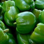 Grüne-Paprika-Tag